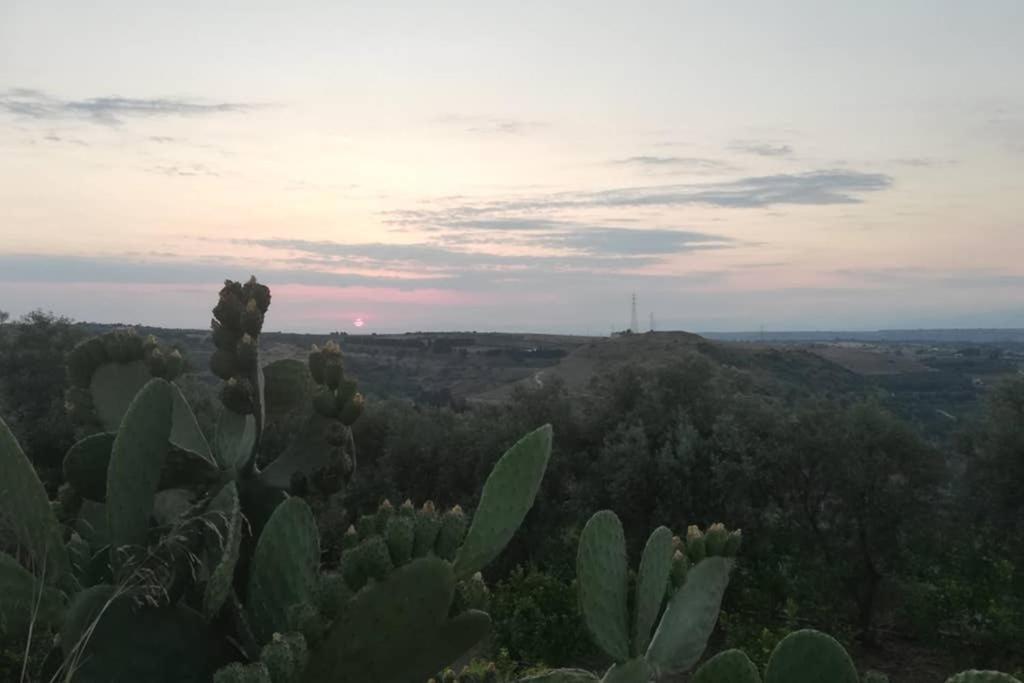 Villa Emma Con Panorama Etna A 10 Minuti Dal Mare Lentini Exterior photo